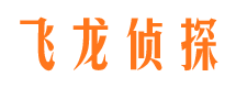 成安市婚外情取证